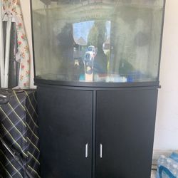 Fish Tank 