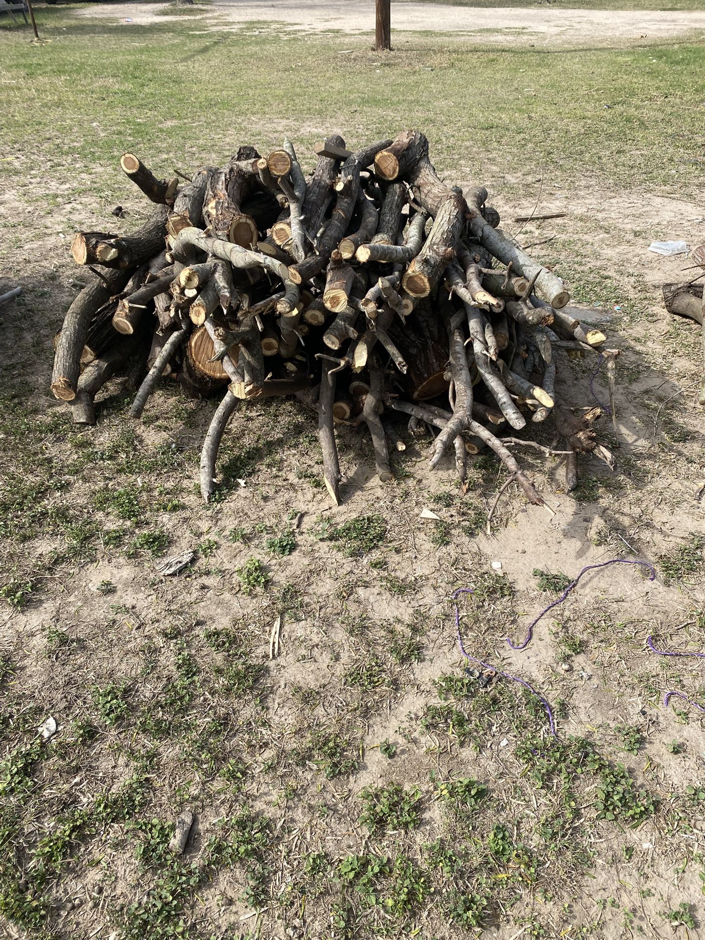 🔥 Leña para Pollo Asado / Carne Asada 🔥