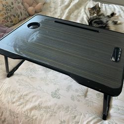 Folding Computer Stand