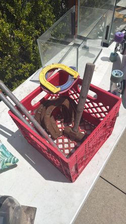 Horseshoe Set