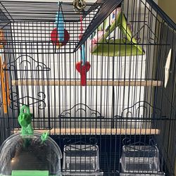 Bird Cage With Accessories And A Little Leftover Food To Start