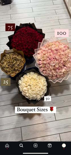 Valentine Roses