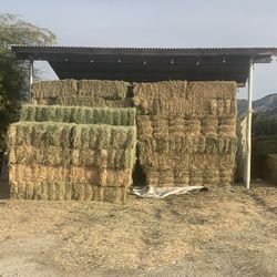 $17 Hay / Alfalfa 