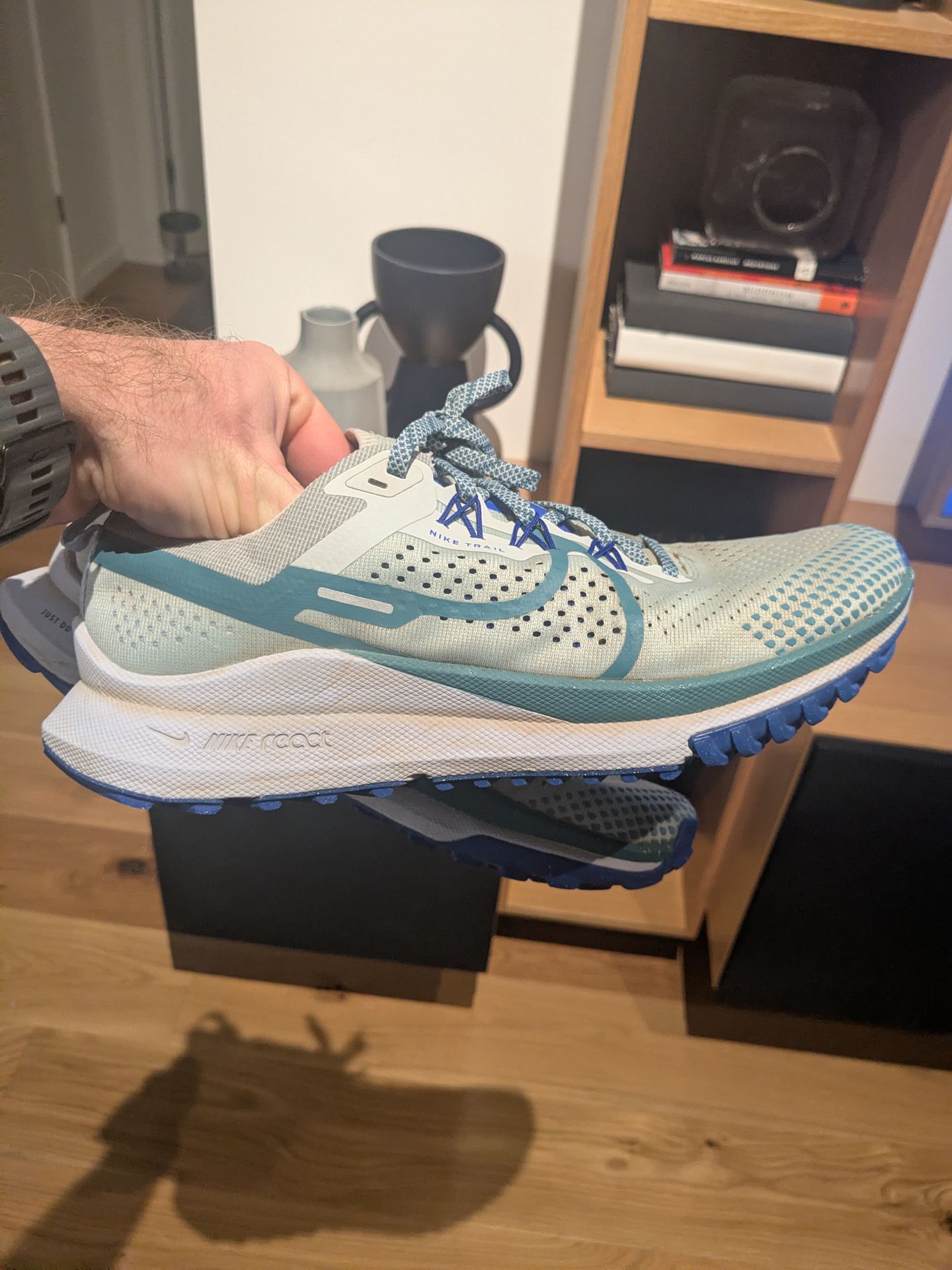 Nike Pegasus Trail 4