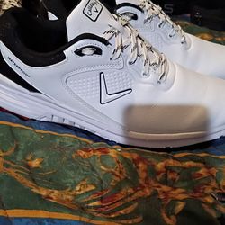 Uggs, Steve maddens and golf shoes