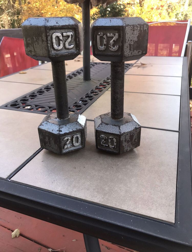 20lbs Iron Hex Dumbbell Set