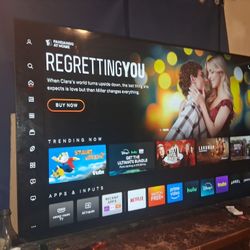 Vizio  TV 65 In 