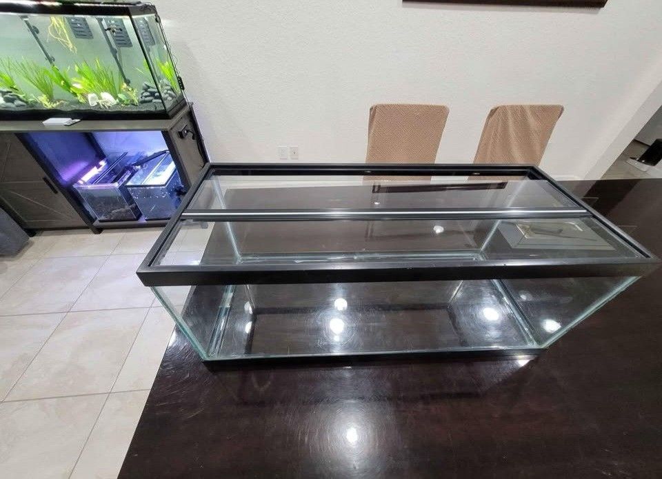 20 Gallon Fish Tank