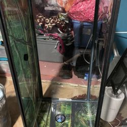 40 Gallon Reptile Tank