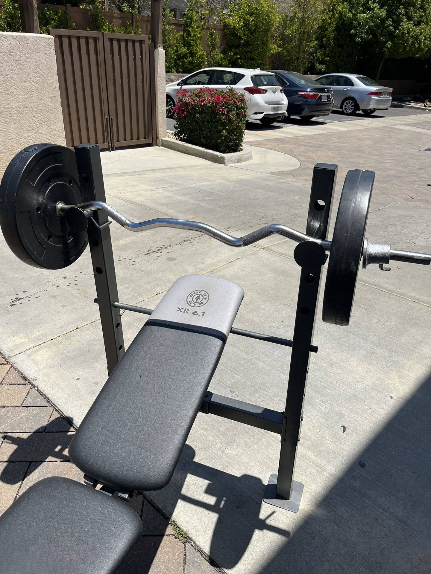 Bench Press