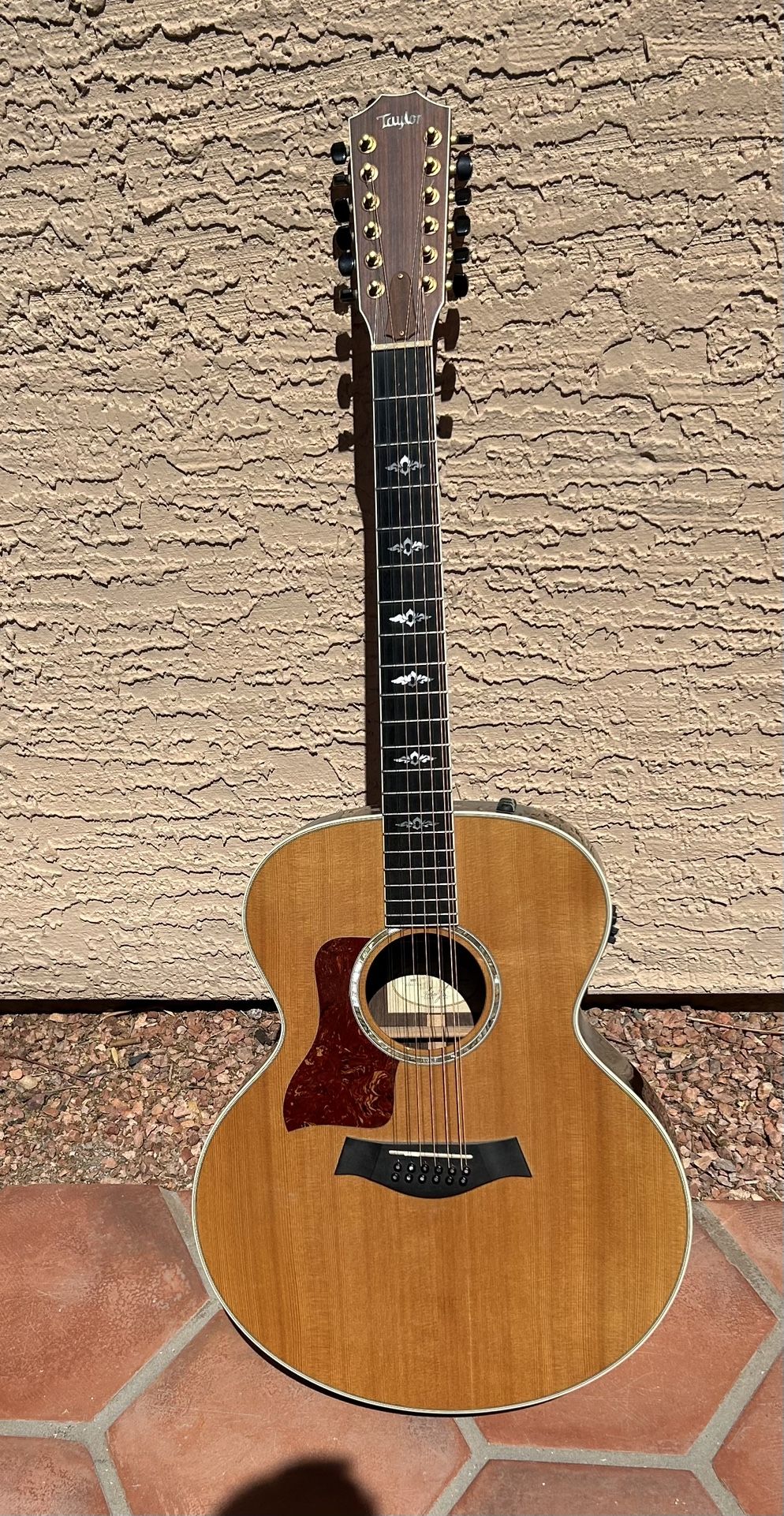 Rare Lefty Taylor 855 12 String