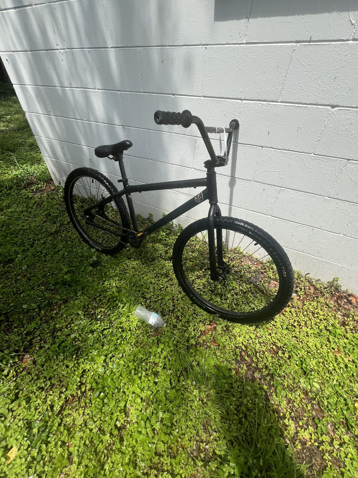mongoose