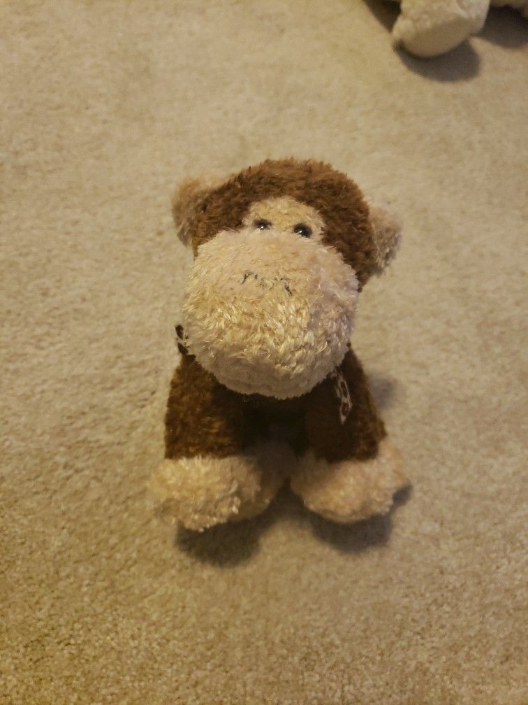 Monkey