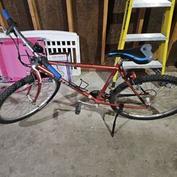 Trek Mountain Track Bike