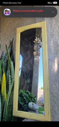 Mirror, 15" x 40", "Hobby Lobby"