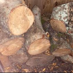 Trading Logs For Handtools