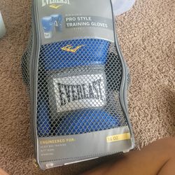 16 Oz Pro Style Training Gloves