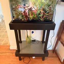 10 gallon tank set up