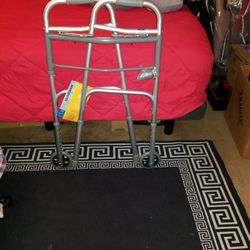 Adult Guardian Walker 