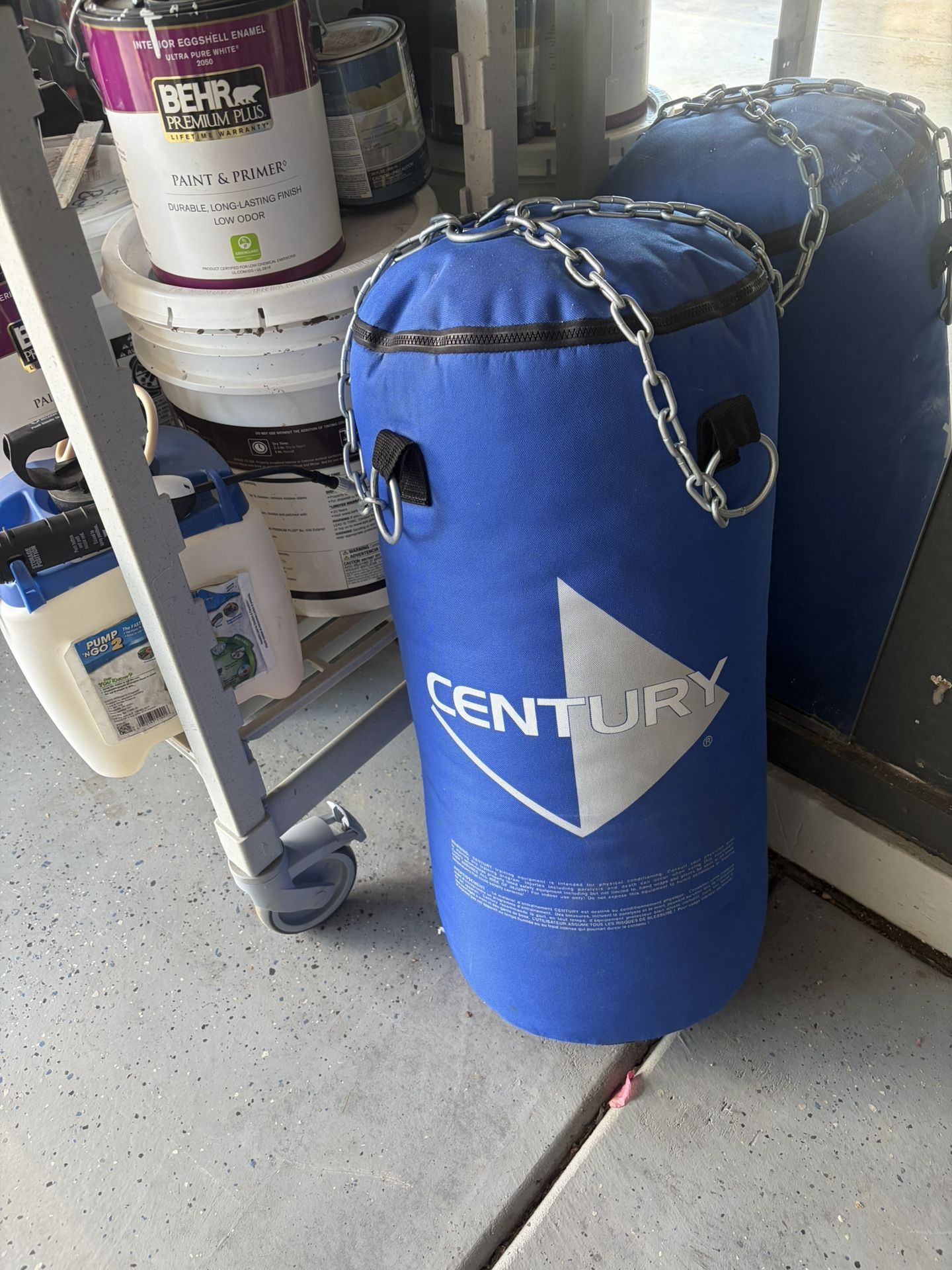 Century Punching Bag 