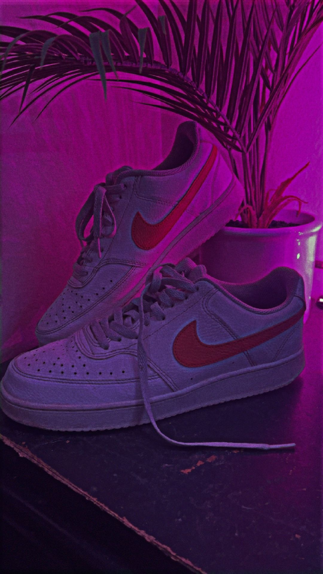 Nike Dunk - Size 9.5 Men