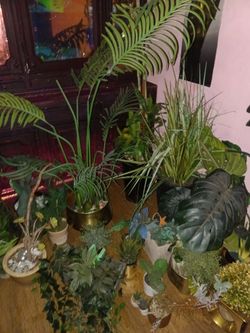 Plant bundle