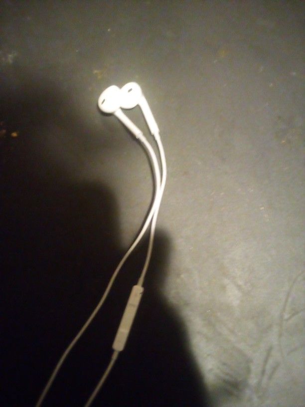 Apple Earbuds 