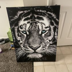 2 Nice Safari Animal Paintings 