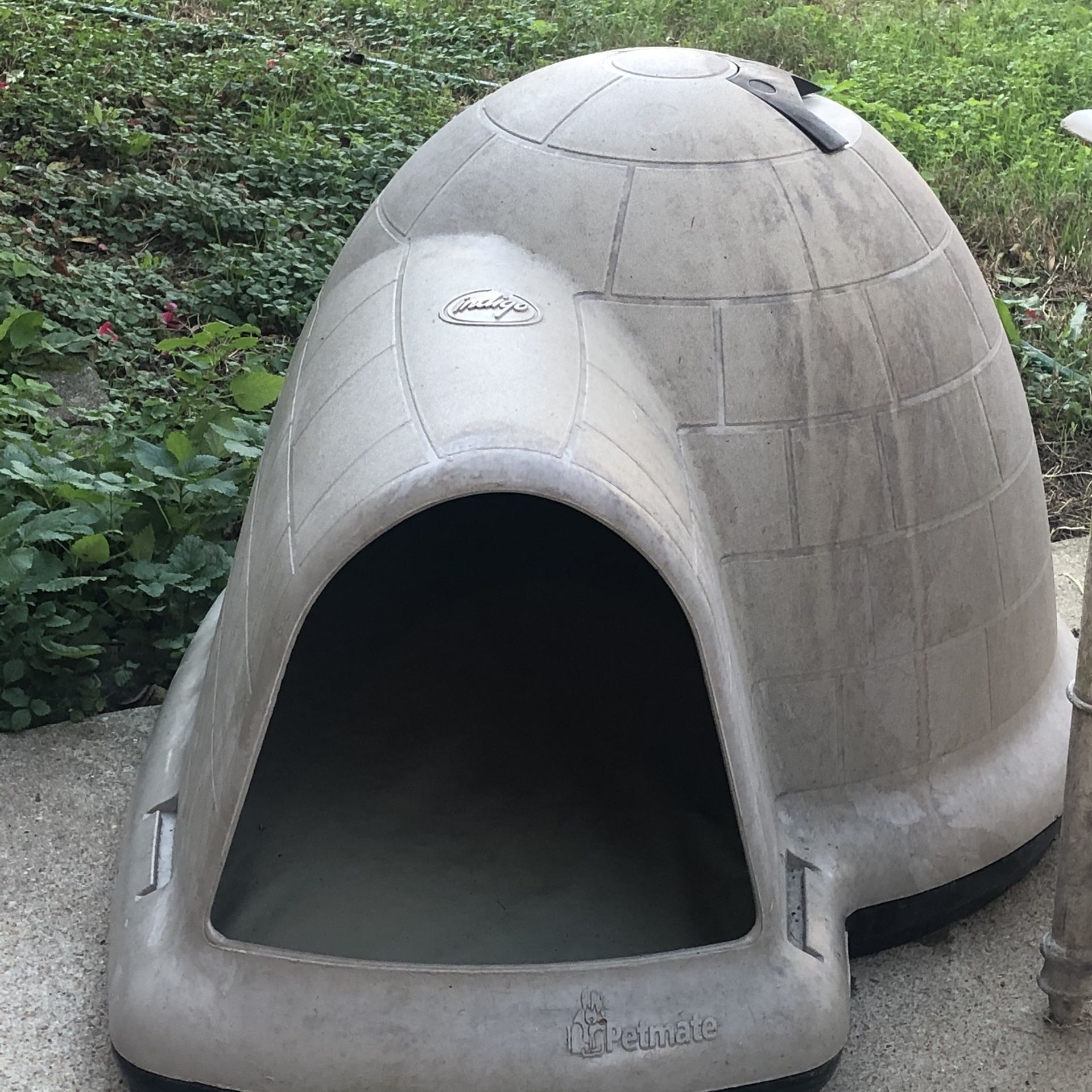 Igloo Dog House