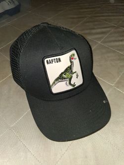 Raptor hat