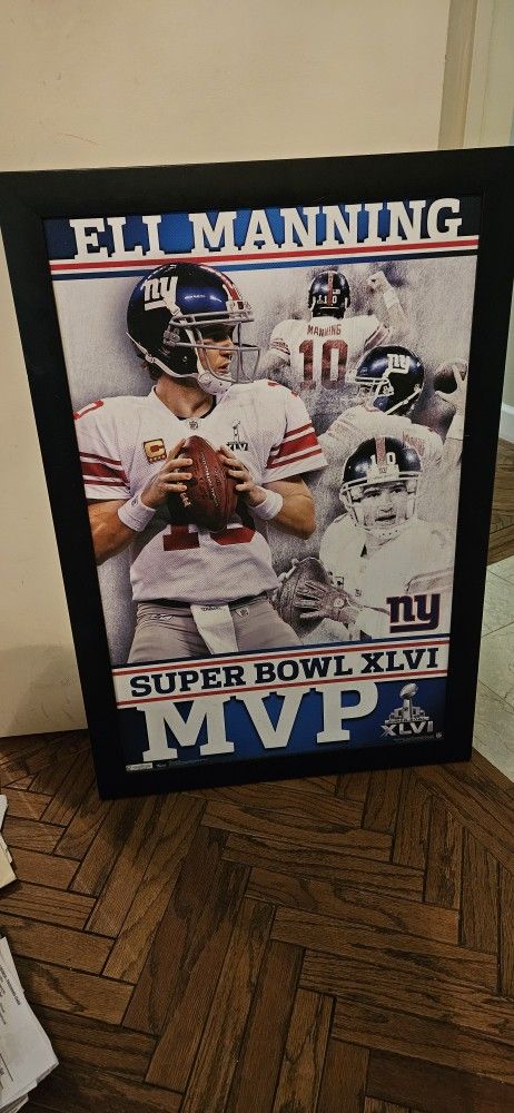 Eli Manning Picture