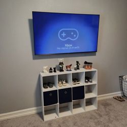 TV MOUNT