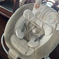 Baby Bouncer