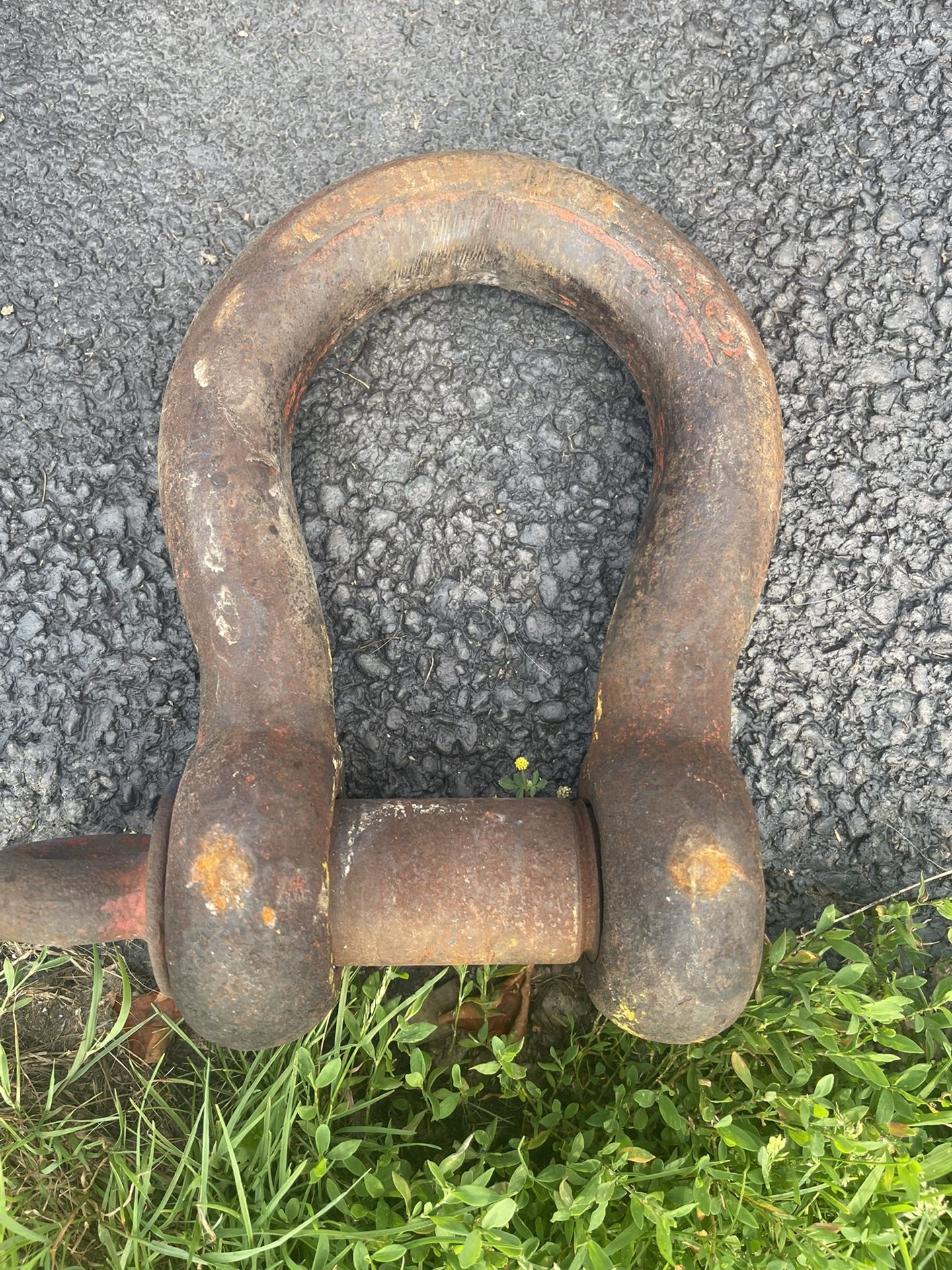 Shackle (WLL 30 Ton) 1 3/4