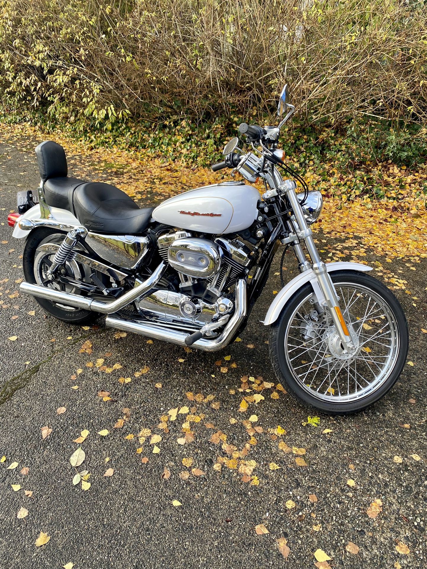 2007 Harley Davidson XL1200