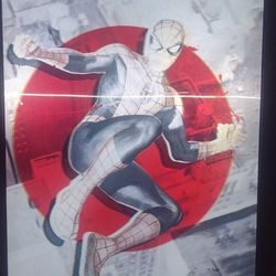 3d  Spider Man Frame 
