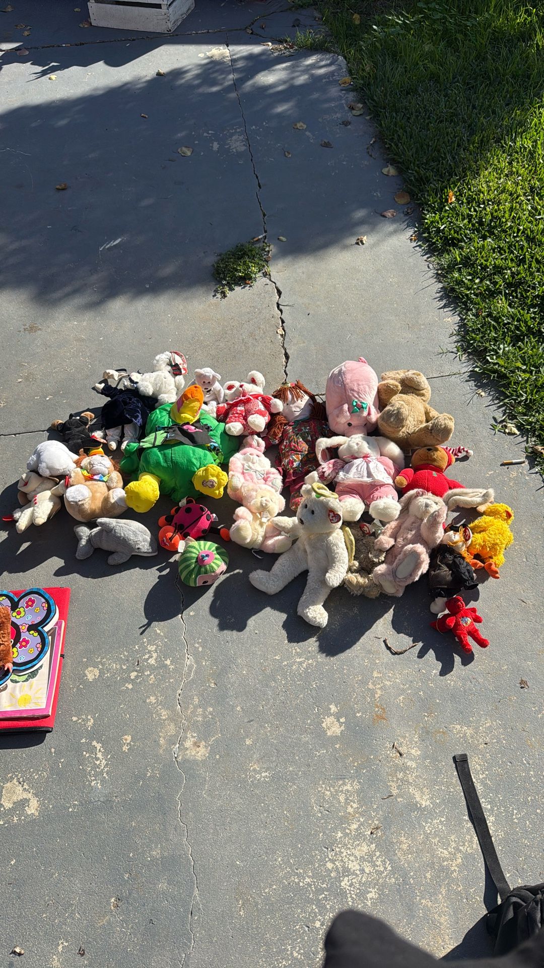 Stuffed Animals 30$ For All 