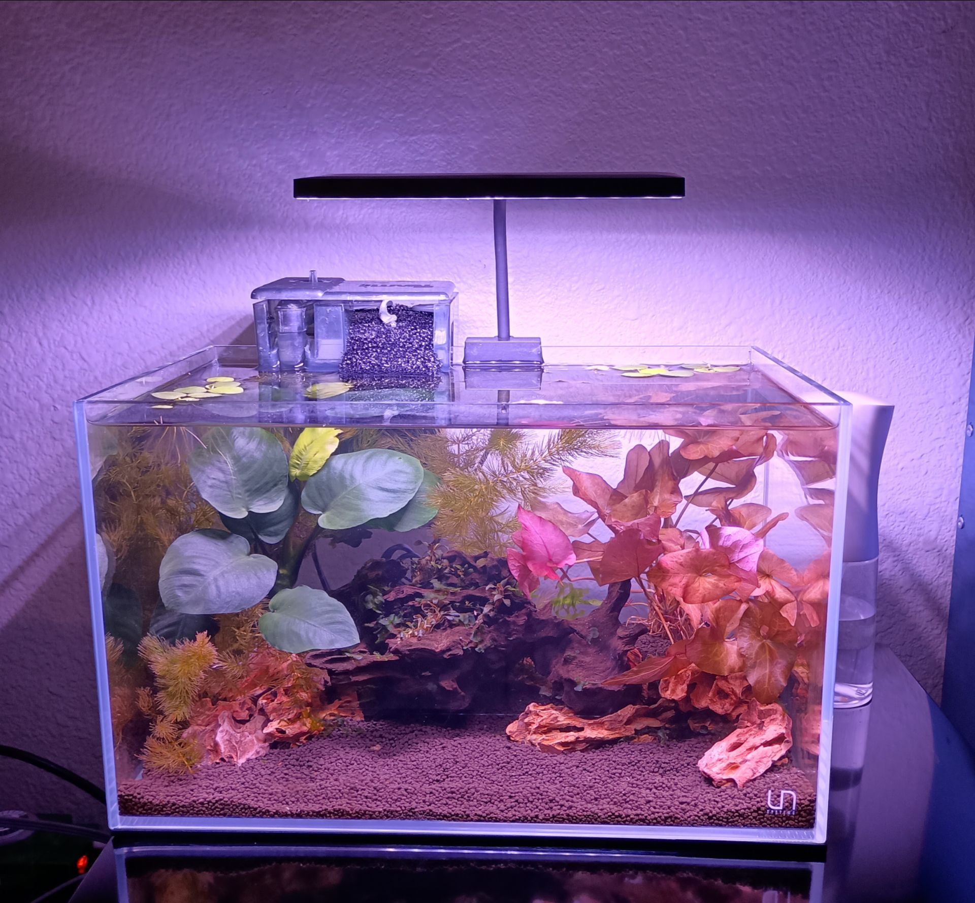 Aquarium fish tank UNS ultum nature system rimless for Sale in ...