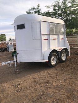 Double Horse Trailer Horses