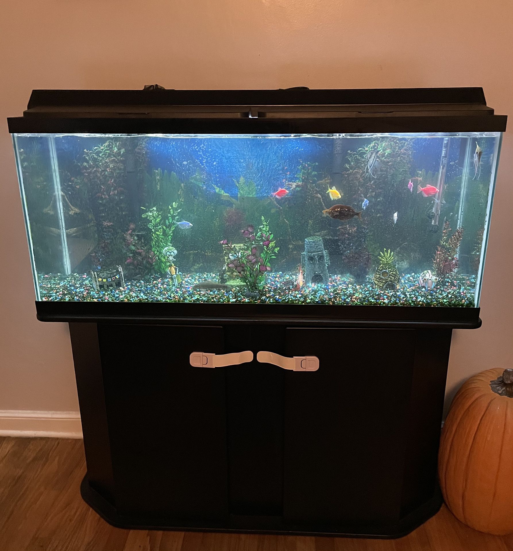 Fish tank W/ everything Included