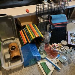 Guinea Pig Supplies 