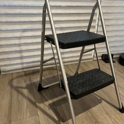 2 Step Ladder