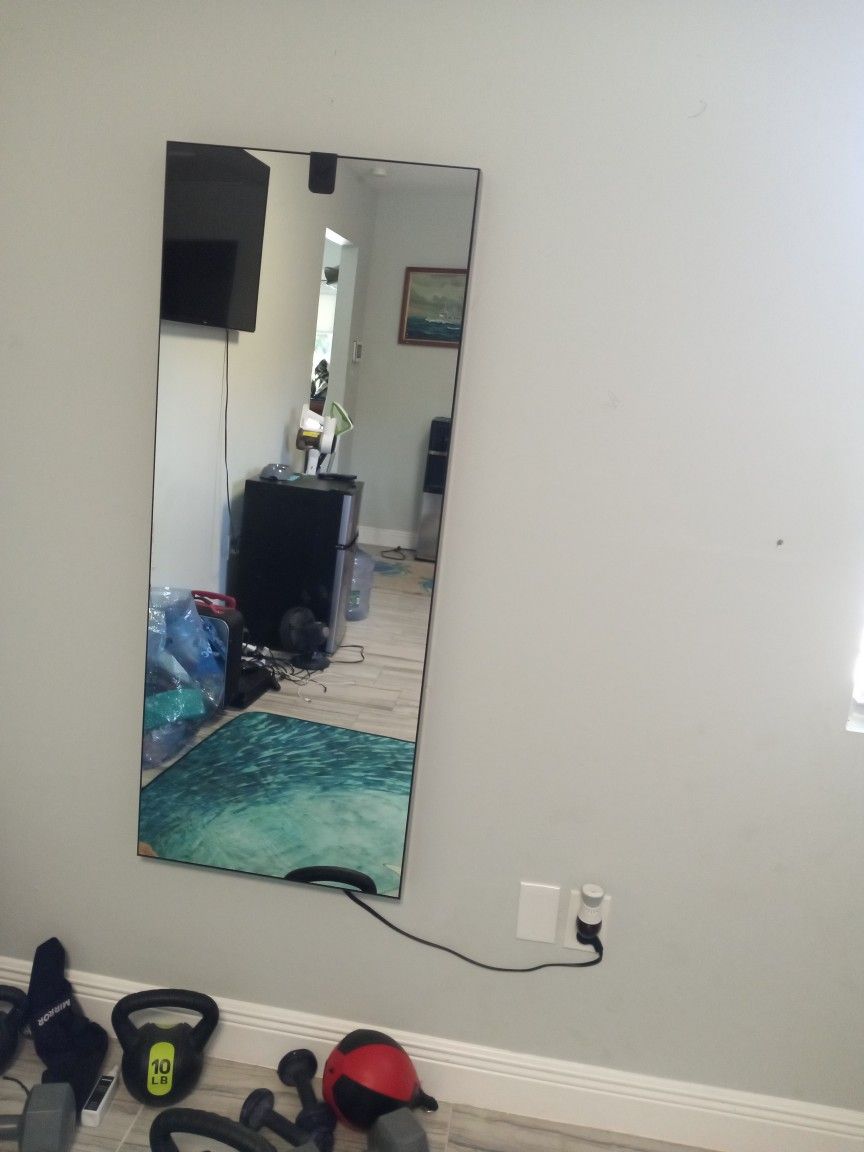 Mirror Exercise Device