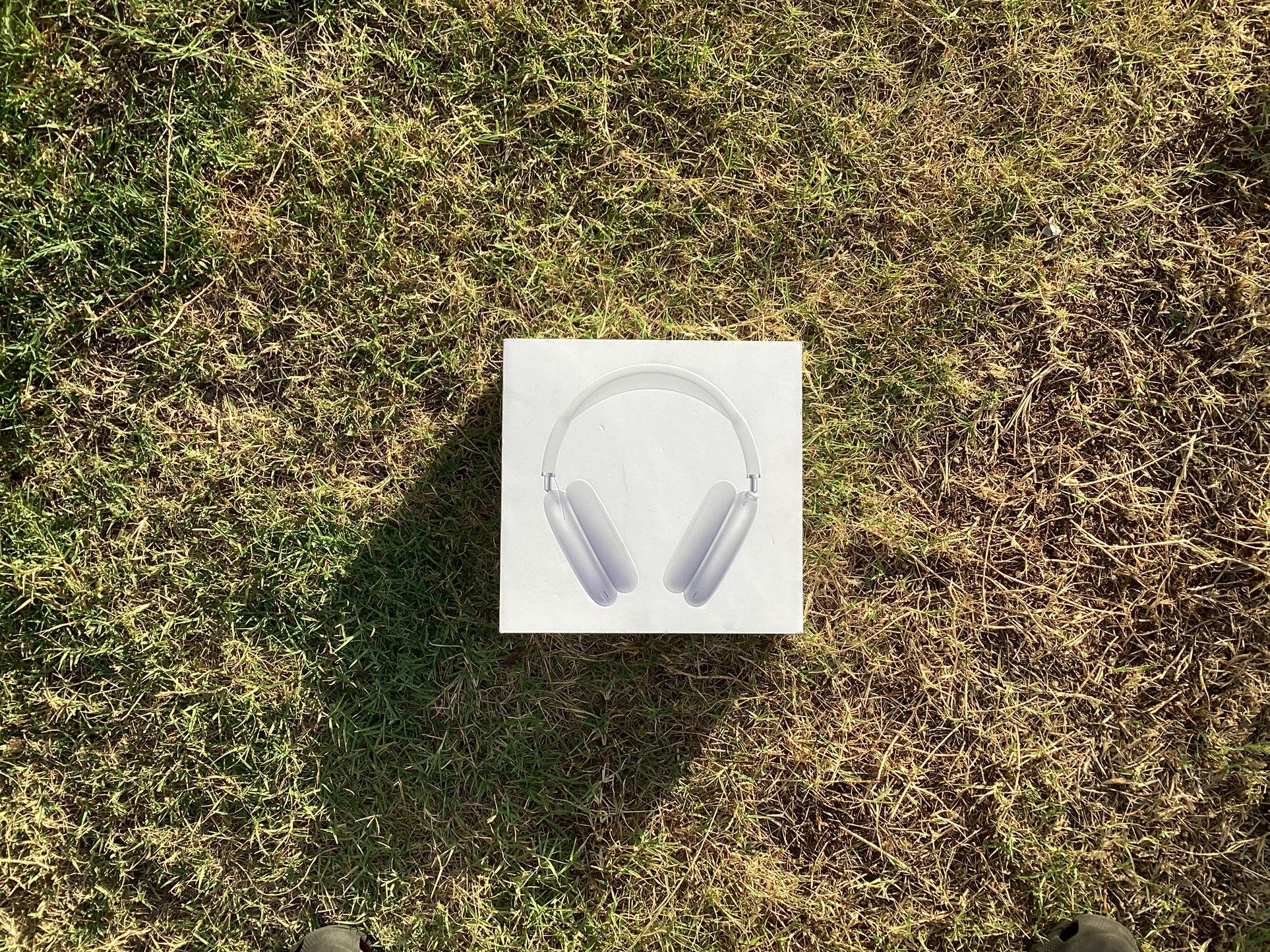 Air Pods Max
