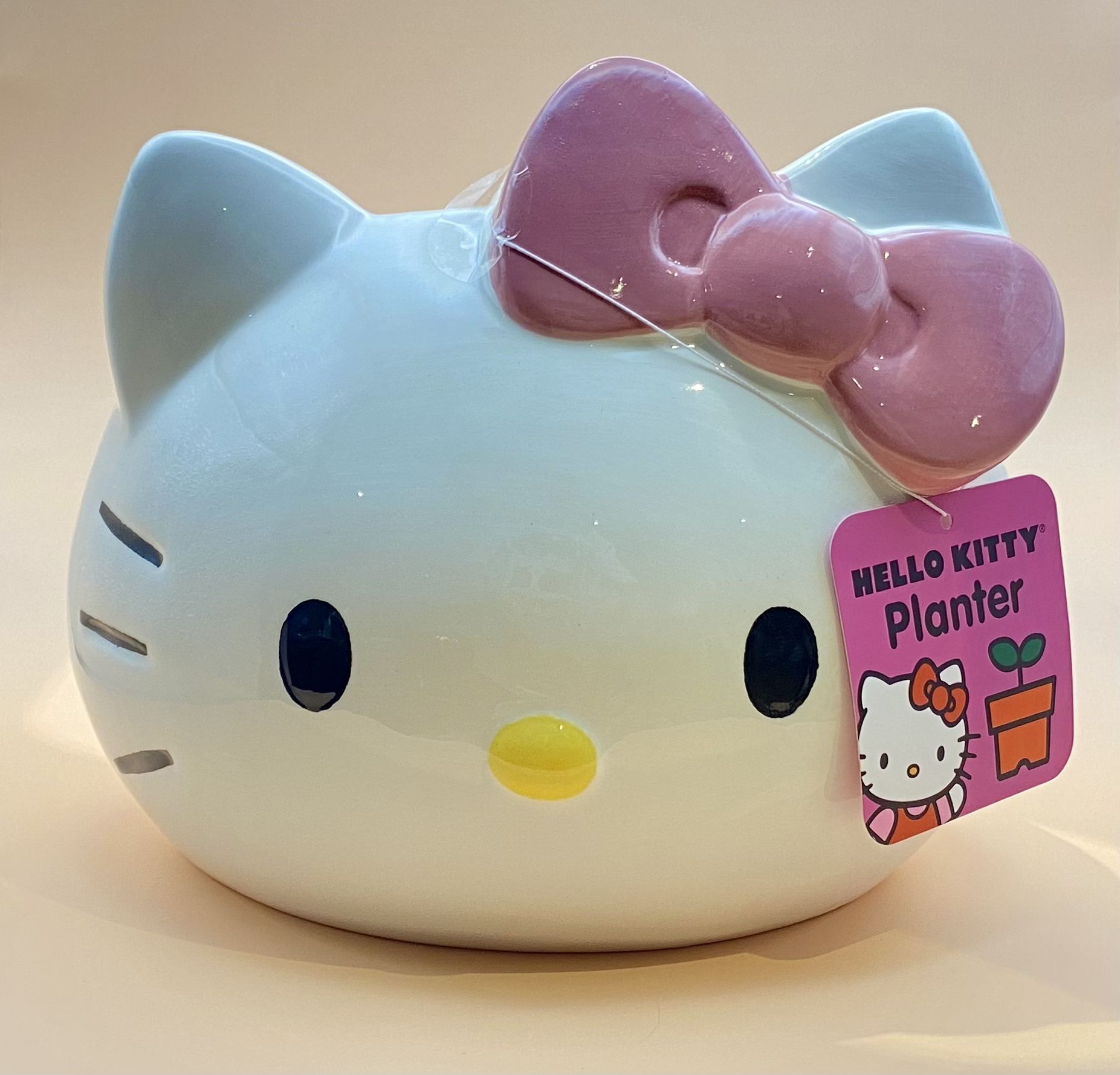 Hello Kitty Planter