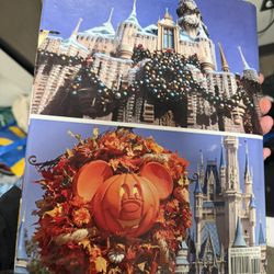 Disney Book 