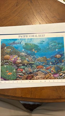 Pacific Coral Reef