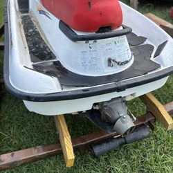 Tiger Shark Monte Carlo Edition 