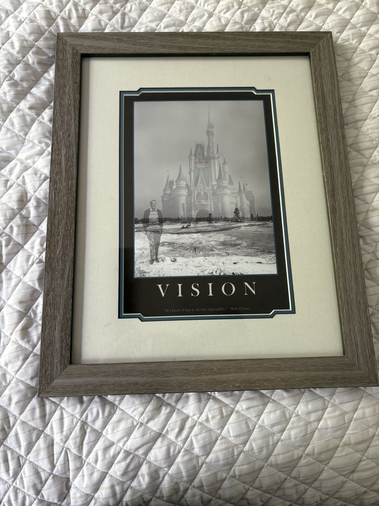 Walt Disney 16x20 Framed And Matted Vision Print