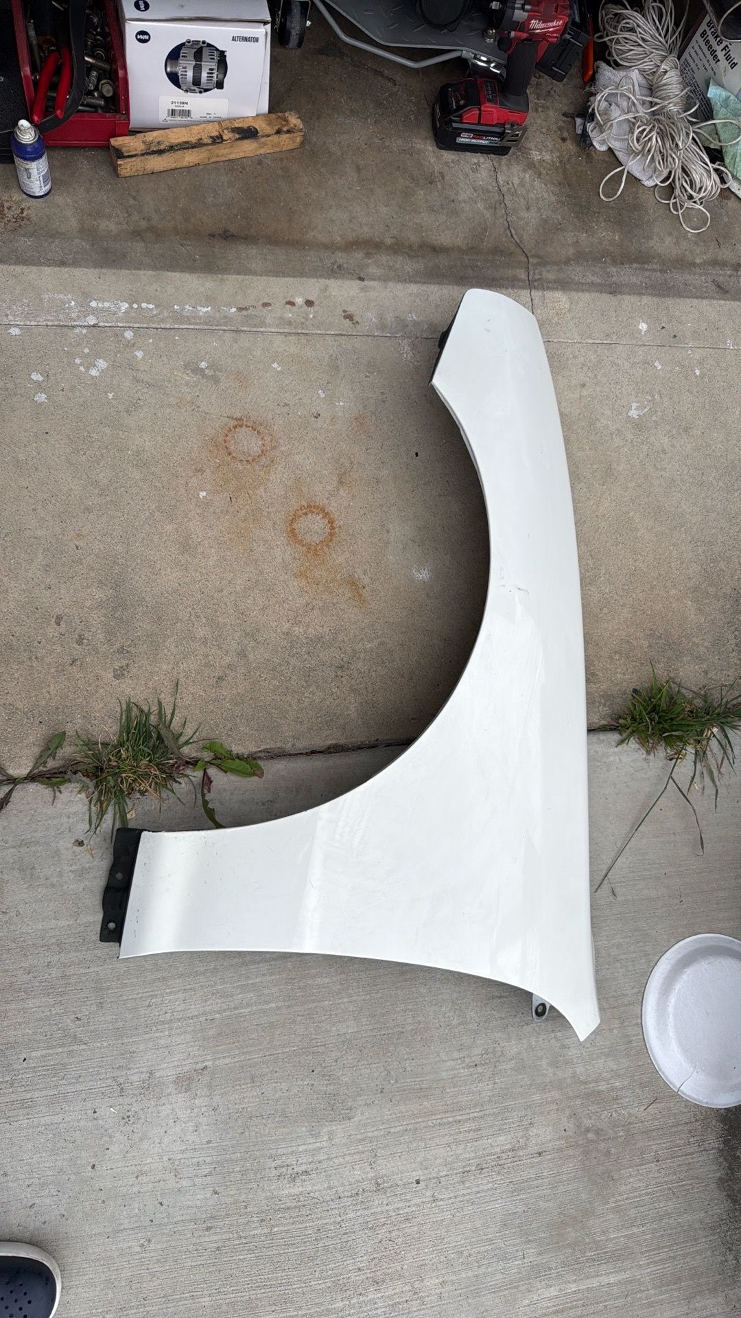 Acura Integra fender